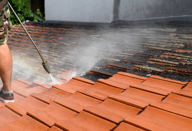 Roof Power Washing Services in Johnsonville, SC