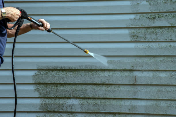 Best Roof Pressure Washing  in Johnsonville, SC