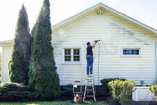 Best Deck Cleaning Services  in Johnsonville, SC