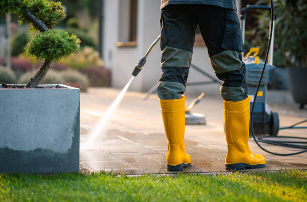 Best Roof Power Washing Services  in Johnsonville, SC